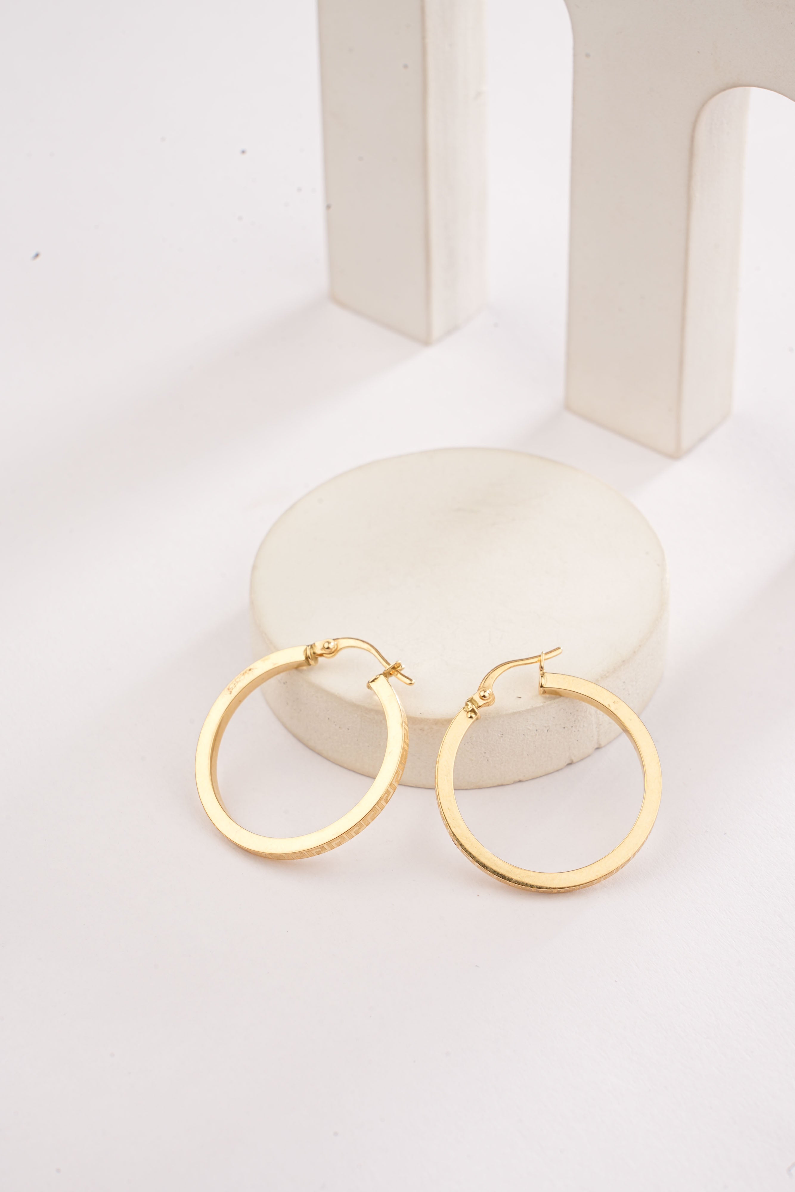 SLEEK DESIGN LOOPS EARRINGS