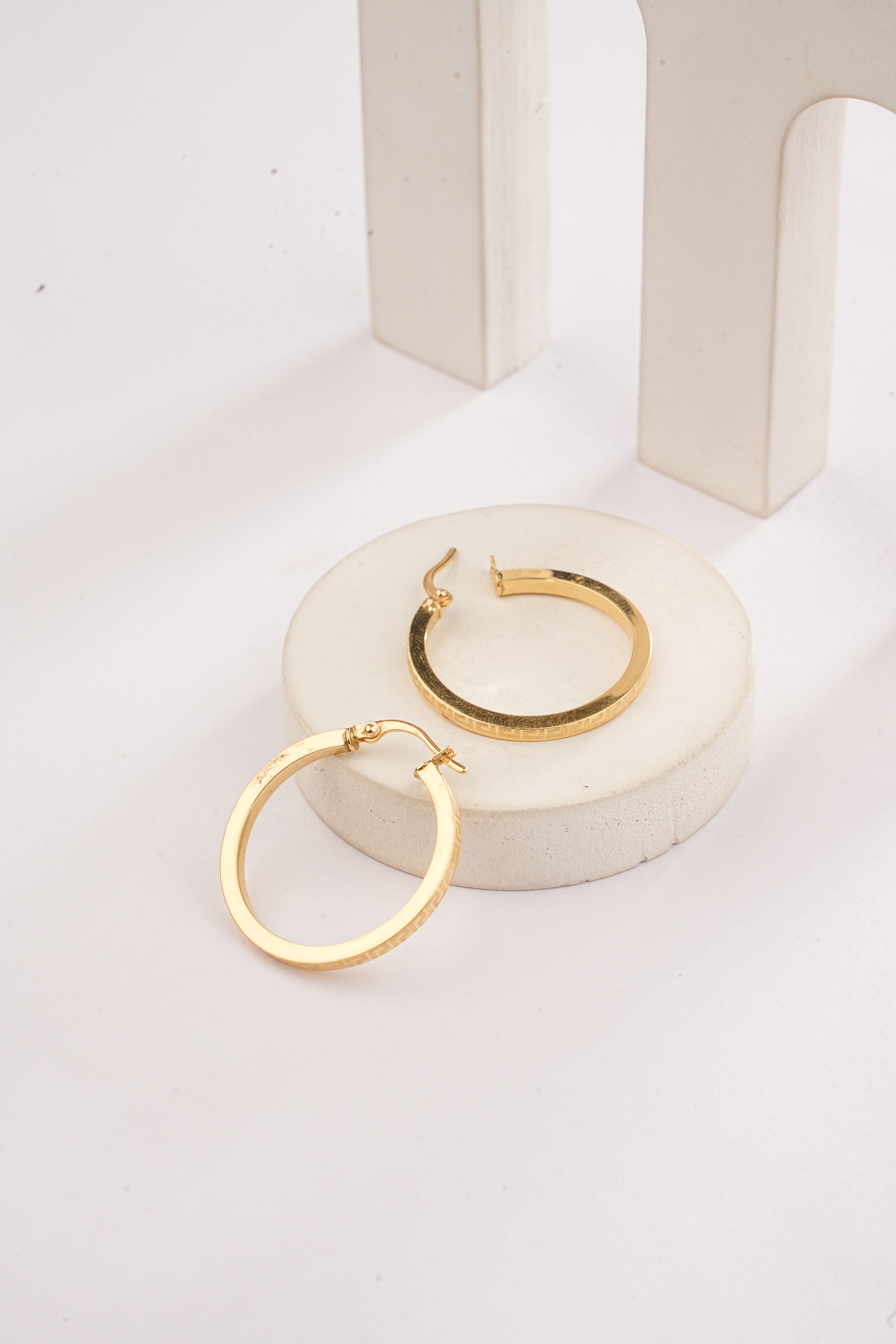 SLEEK DESIGN LOOPS EARRINGS